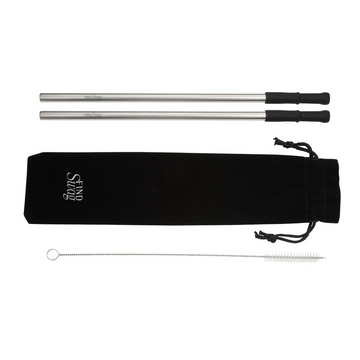 Reusable Stainless steel Straw Set with Brush